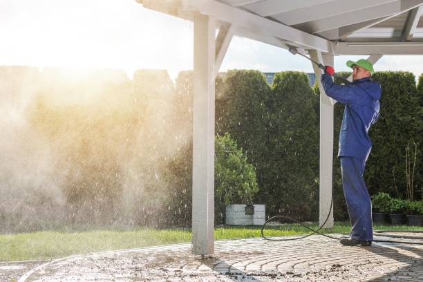 Pre-Holiday Cleaning in Kenbridge, VA