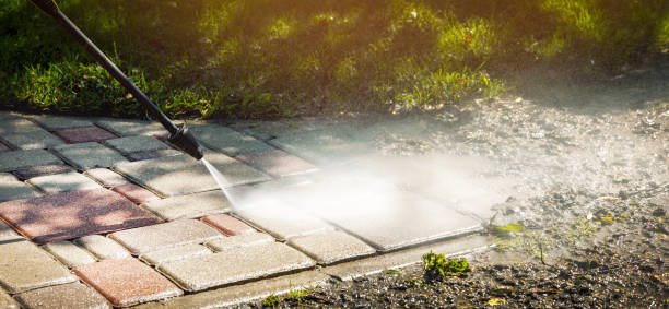 Best Sidewalk and Walkway Cleaning  in Kenbridge, VA